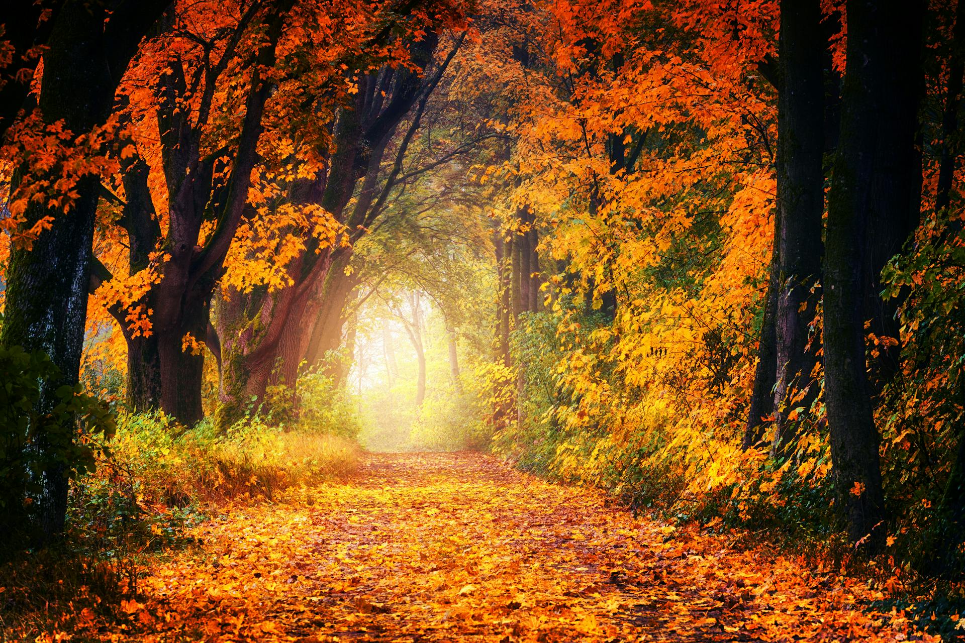 Walk Your Change